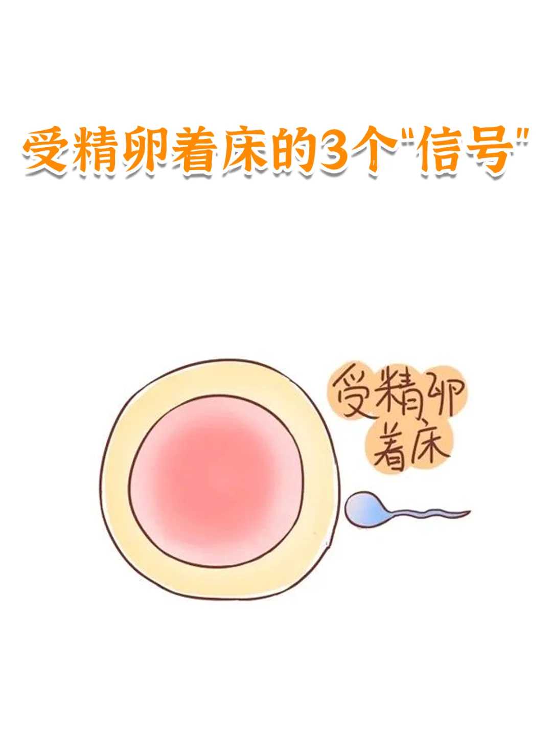 2025版上海供卵前女性激素水平检测全解读