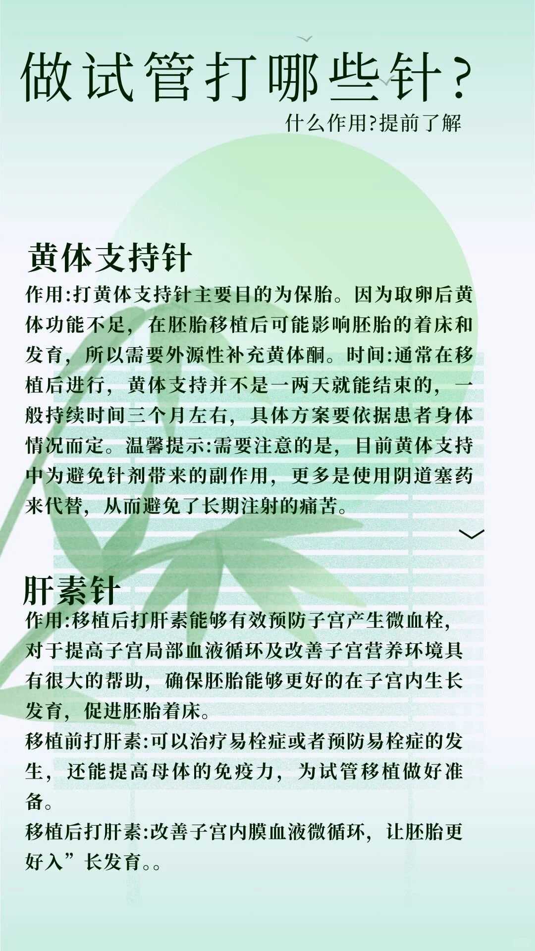 专家解读：成都供卵前女性健康评估全流程